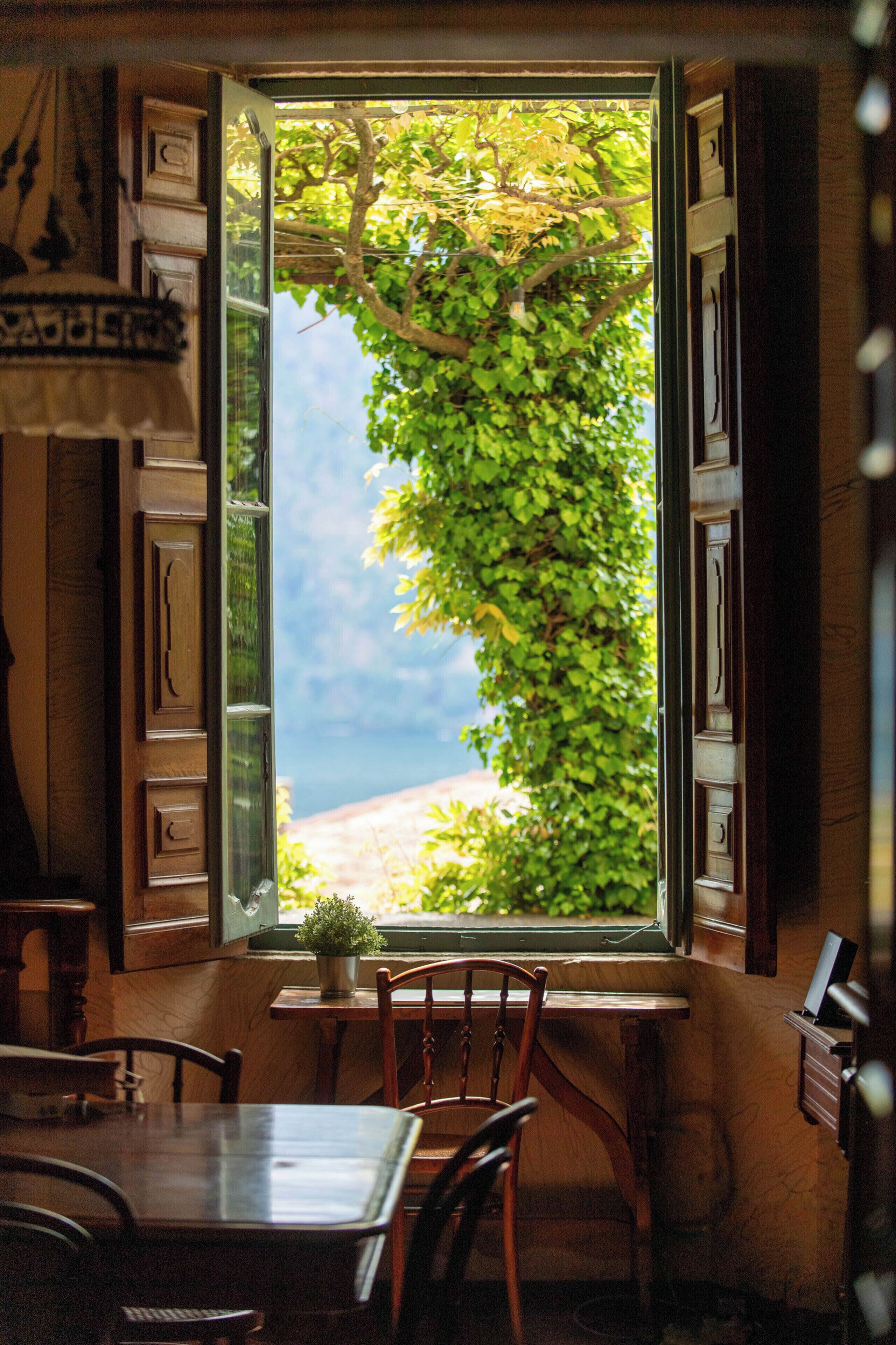An open window with a view of a tree and a pathway outside.