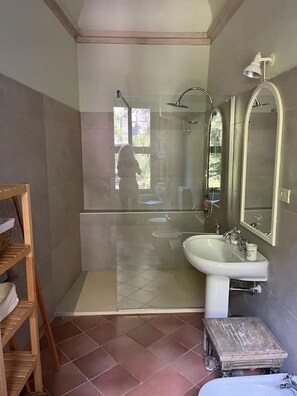 Regadera, secadora de cabello, bidet, toallas 