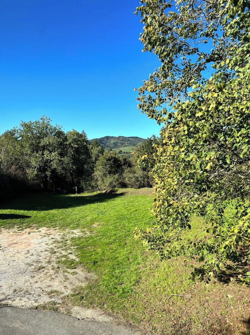 Ein grasbewachsenes Gelände mit einem Feldweg, der zu einer Straße führt.