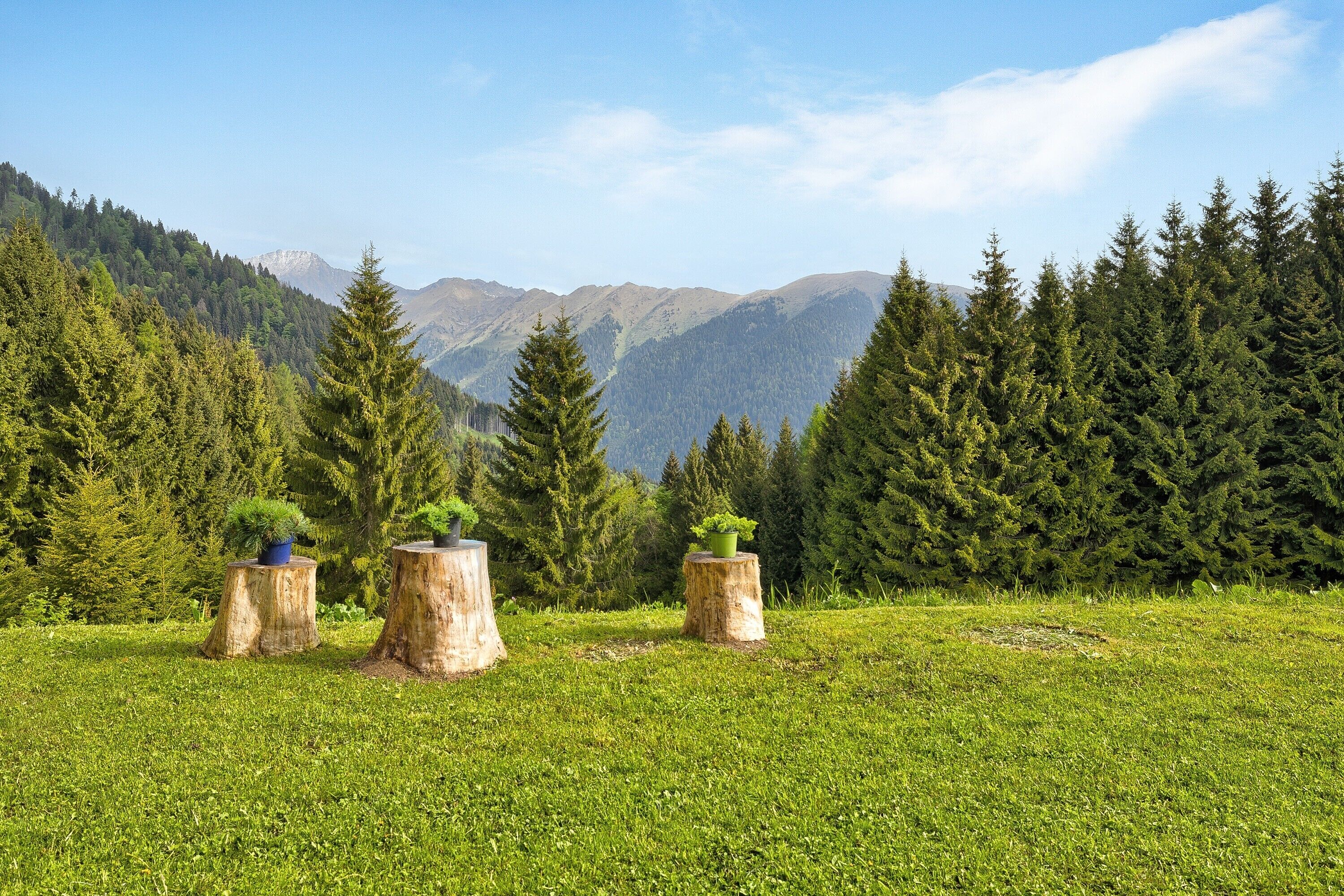 Áreas de la propiedad