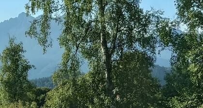 Baita Zia Mariota Zeller in Trentino, Valli Giudicarie