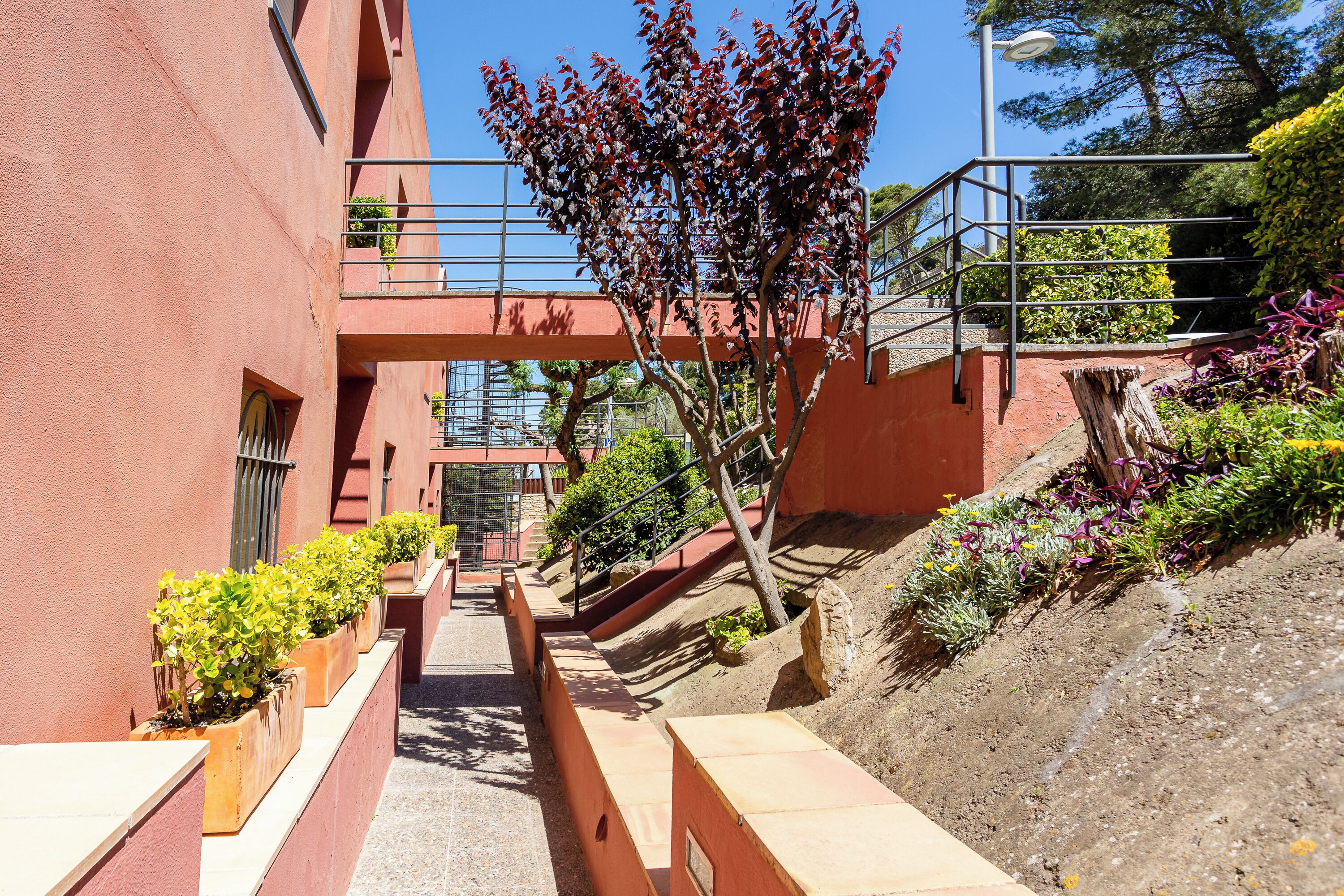 Jardines del alojamiento