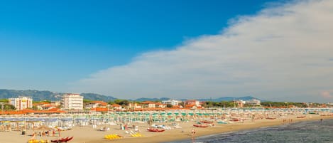 بالقرب من الشاطئ