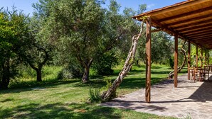 Un espace extérieur aménagé en terrasse, avec un sol en pierre, une pergola en bois et des oliviers tout autour.