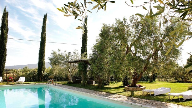 Ein Schwimmbecken mit Liegestühlen, einer Pergola und Bäumen im Hintergrund.