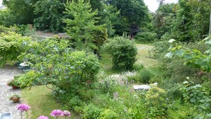 Een weelderige tuin met verschillende planten en bloemen, een pad van stenen en een bankje.