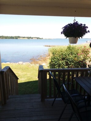 Property grounds - Holiday home by the sea in Blekinge (Sturkö)