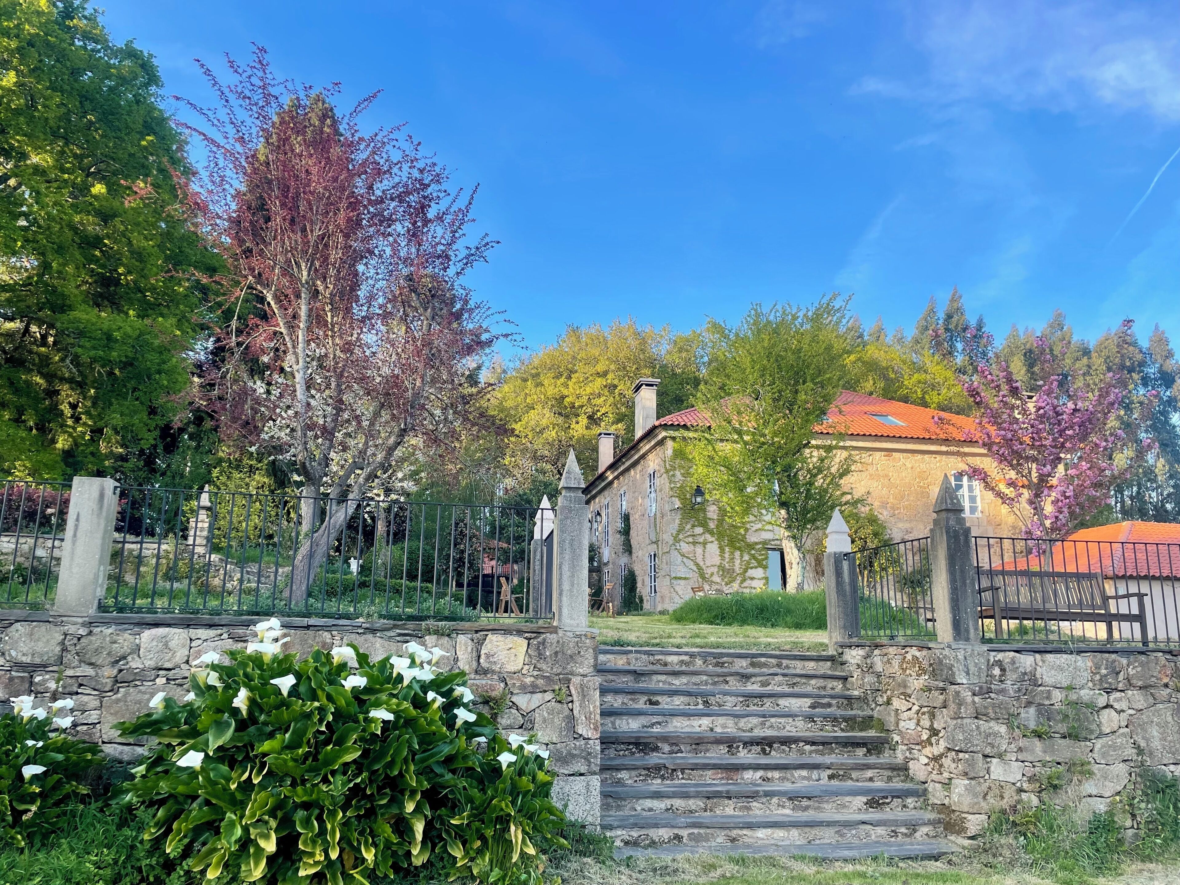 Foto - Hotel Pazo de Bieite