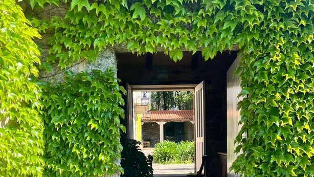 Une entrée en pierre surmontée d’un toit de tuiles, entourée d’une végétation luxuriante de lierre, mène à une cour où se trouve un banc en pierre et un bâtiment avec un toit de tuiles rouges.