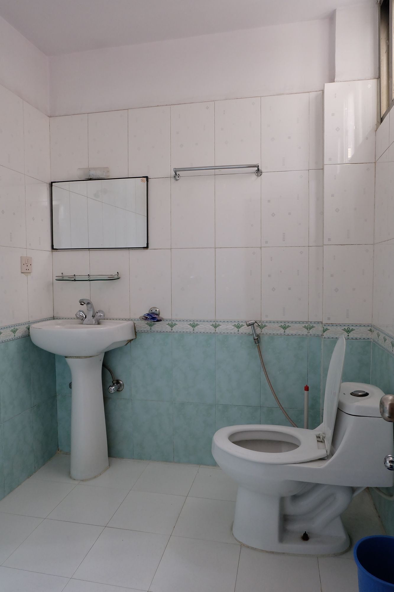 Un baño con lavamanos pedestal, inodoro y espejo en la pared.