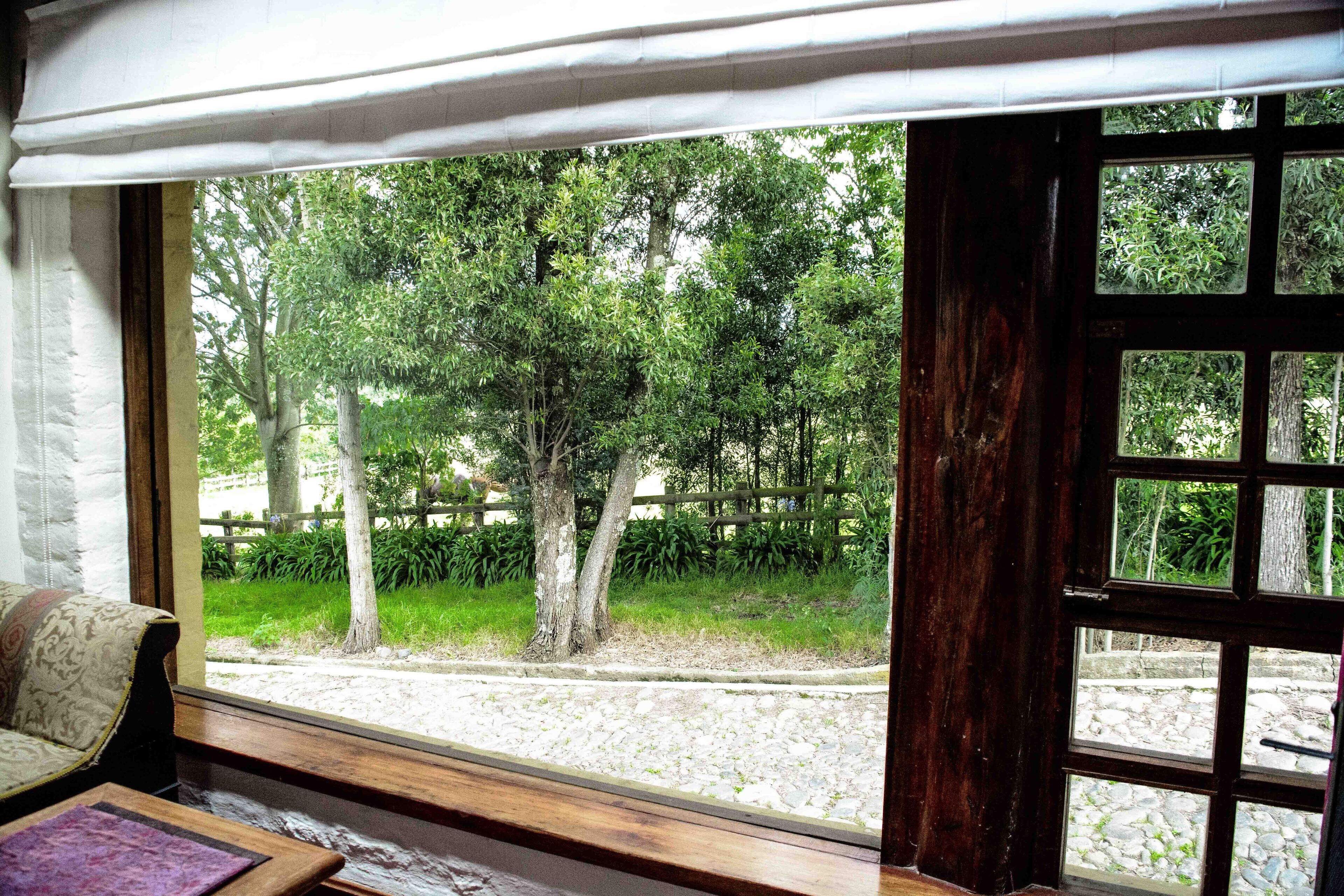 豪華開放式客房, 壁爐, 山景 | 花園景