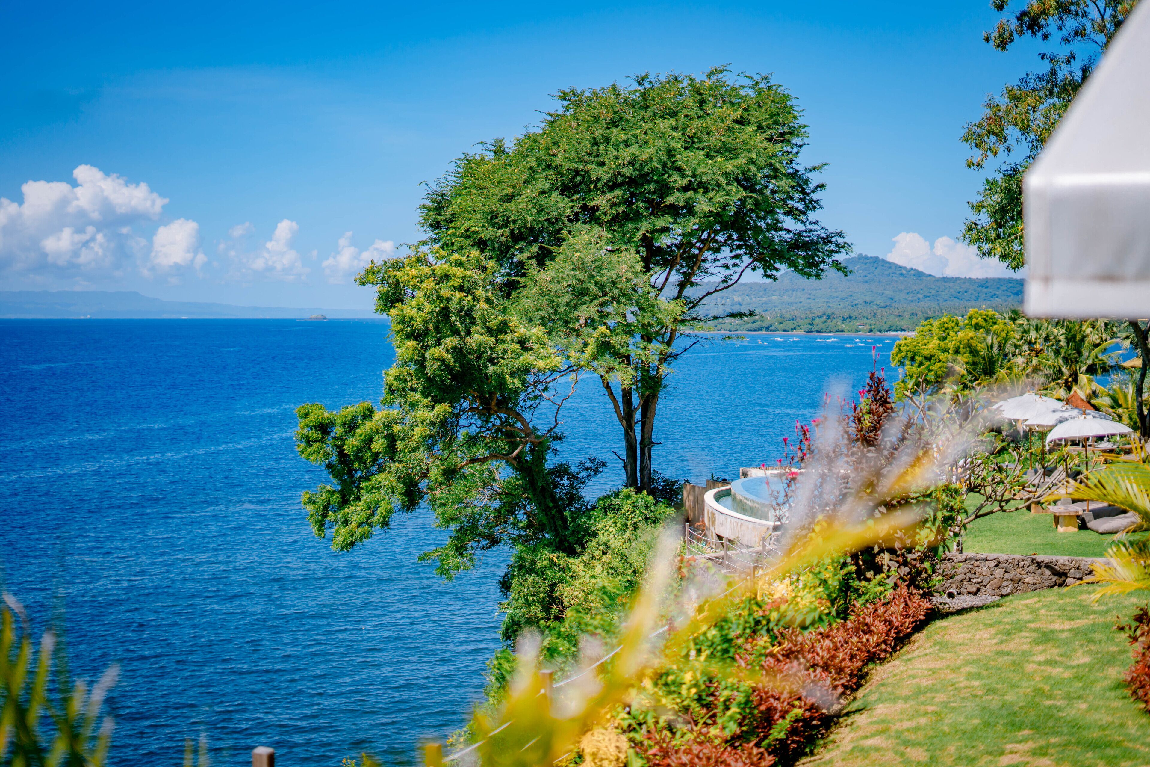 A coastal view with a large tree, a pool, and a clear blue sky.