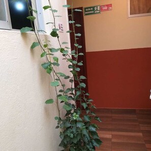 Interior - Hostal Downtown Quito (Quito)