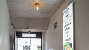 A hallway with wooden flooring, potted plants, and a sign indicating amenities like WiFi and private bathrooms. - Hostal Downtown Quito (Quito)