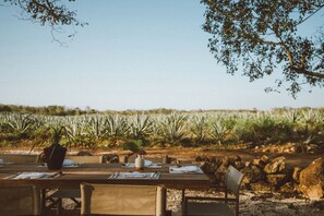 View from room - Viatura Hacienda Xtojil, Yucatan, Merida, with Optional All Inclusive (Timucuy)