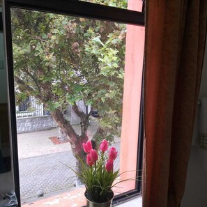 Double Room, City View | Desk, iron/ironing board, free WiFi - Hostal Whipala (Quito)