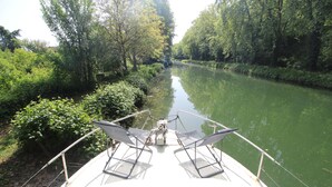 A boat with a canopy and seating, surrounded by greenery and a calm river.