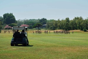 A golf course with a golf cart and a herd of deer in the distance.