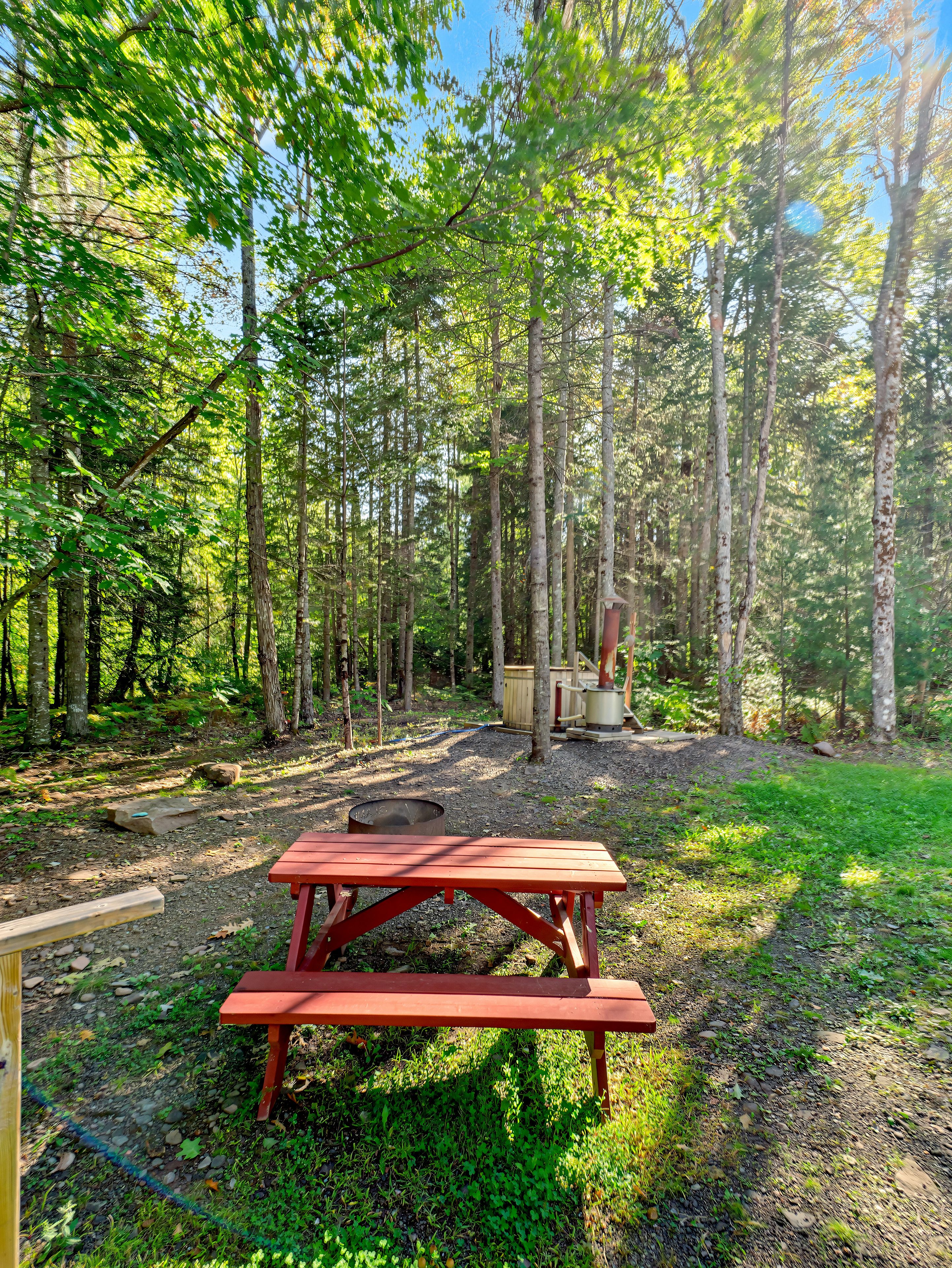 A forested campsite with a picnic table, a fire pit, and a wooden structure.