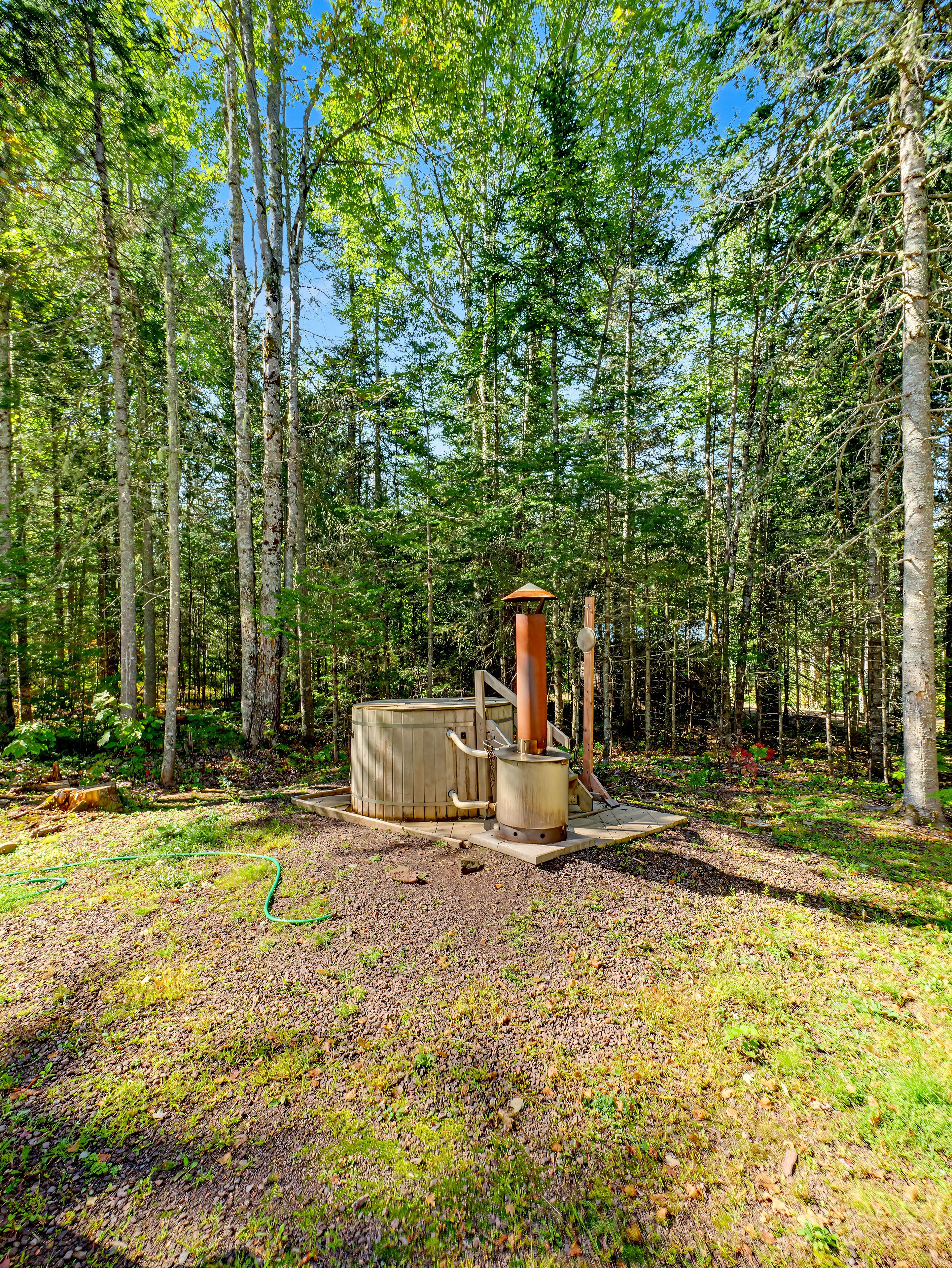 A forested area with a sauna structure.