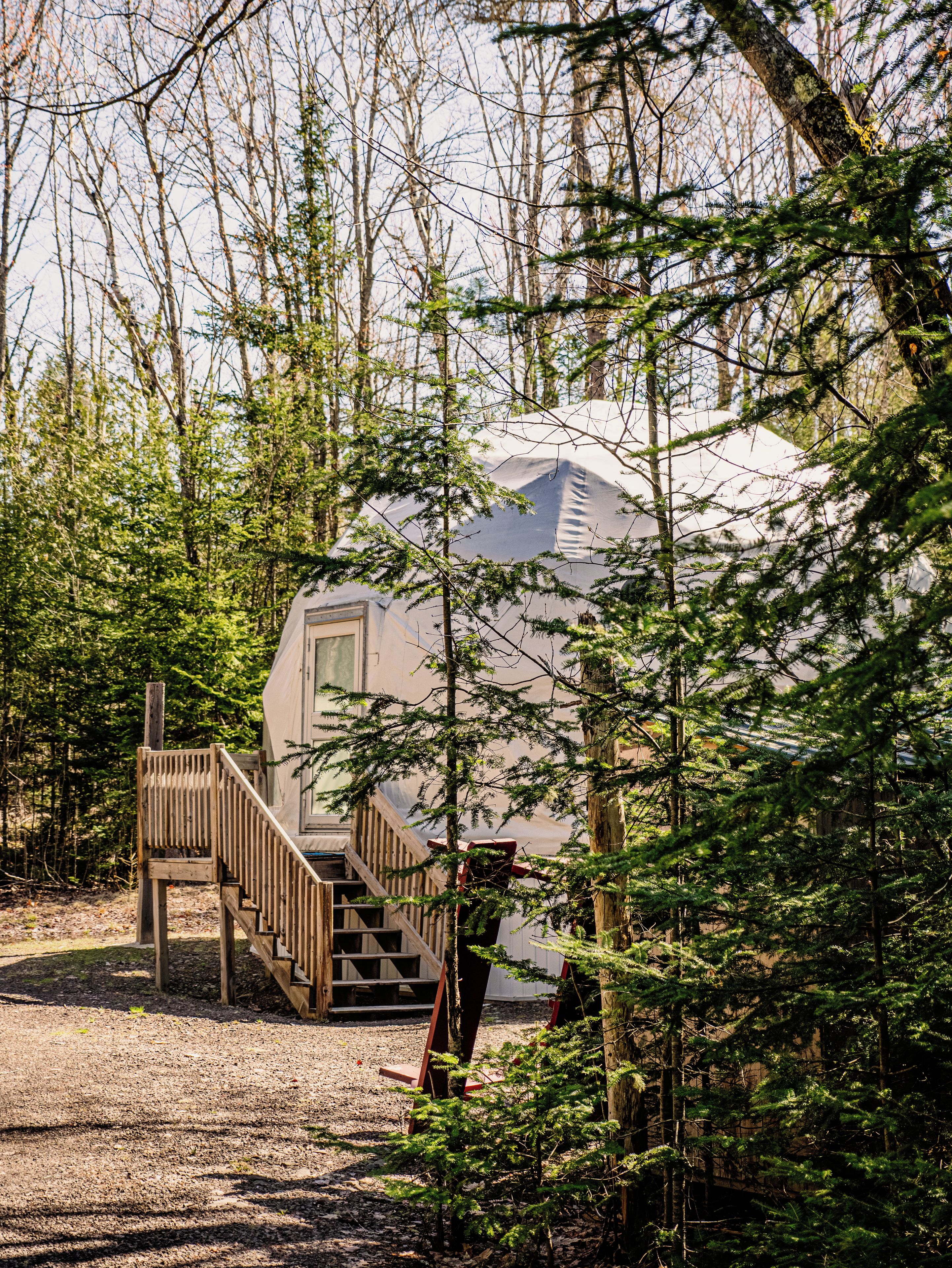 Une cabane avec un escalier en bois menant à une porte, le tout entouré d’une forêt dense.