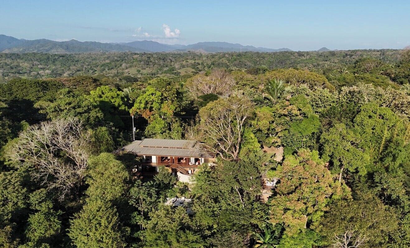 A house surrounded by dense forest with a clear view of distant mountains.