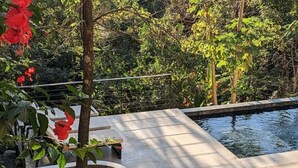 Uma área de piscina com um deck de concreto, rodeada por vegetação exuberante e árvores.