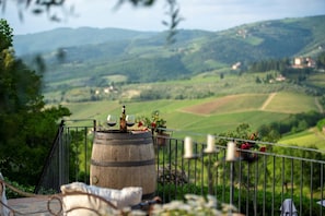 Villa, Smoking | 15 bedrooms - Villa Eros in Greve in Chianti (Greve in Chianti)