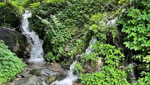 Een natuurlijke waterval omringd door weelderige begroeiing.