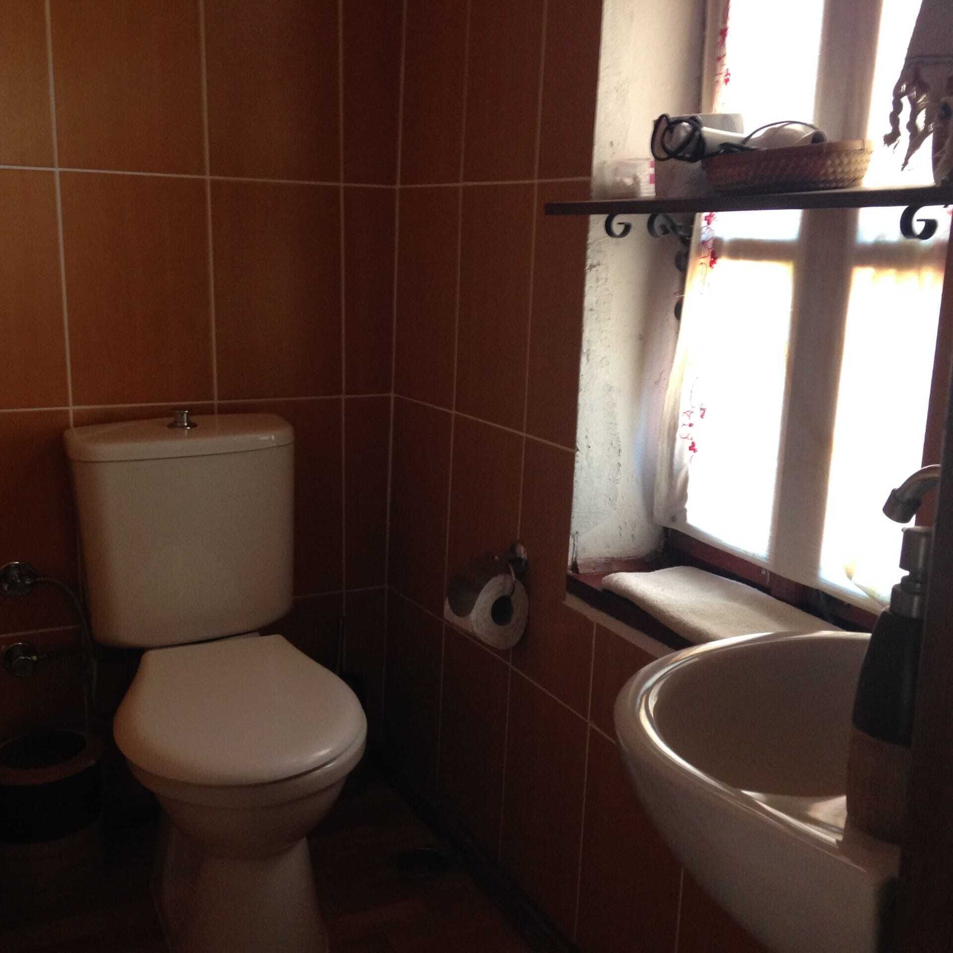 A bathroom with a toilet, a sink, and a window with a curtain.