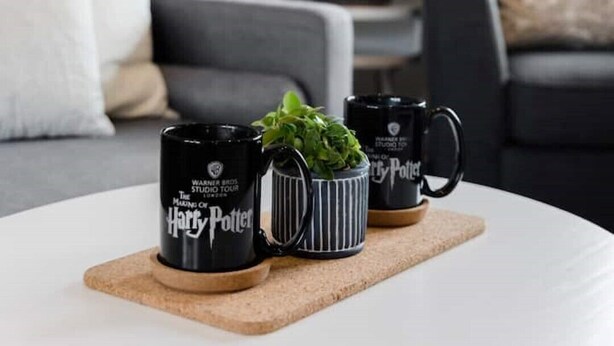 Une table blanche sur laquelle sont posés trois mugs noirs ornés du logo de Harry Potter, un récipient à rayures et une plante en pot.