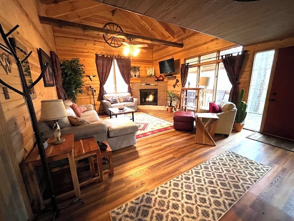 TV, fireplace, DVD player, books