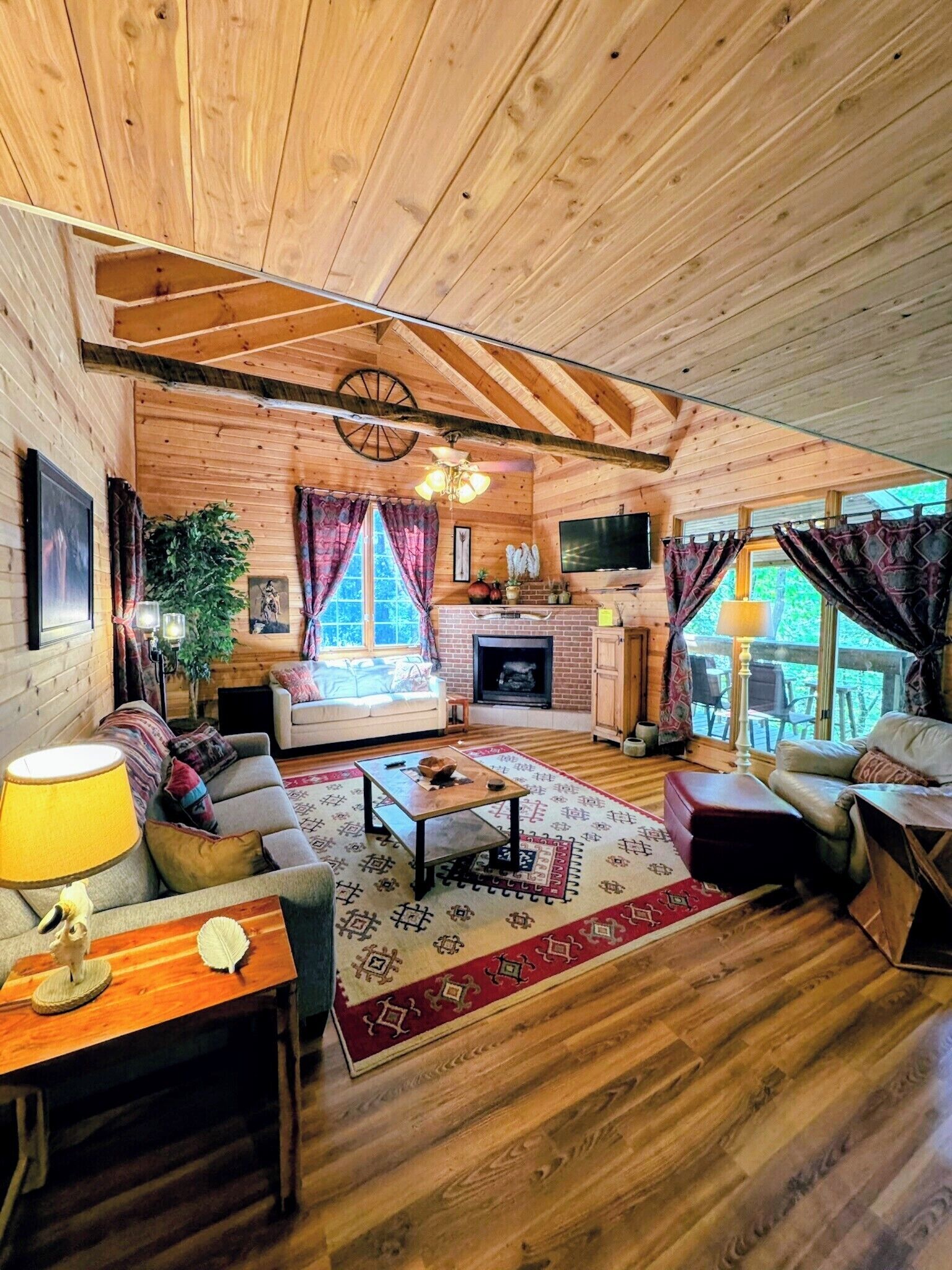 电视、壁炉、DVD 播放器、书