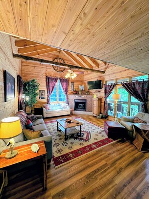 テレビ、暖炉、DVD プレーヤー、書庫