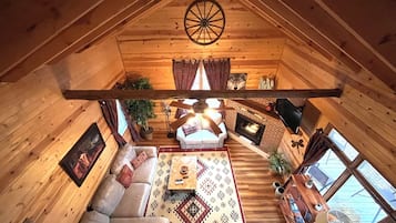 TV, fireplace, books