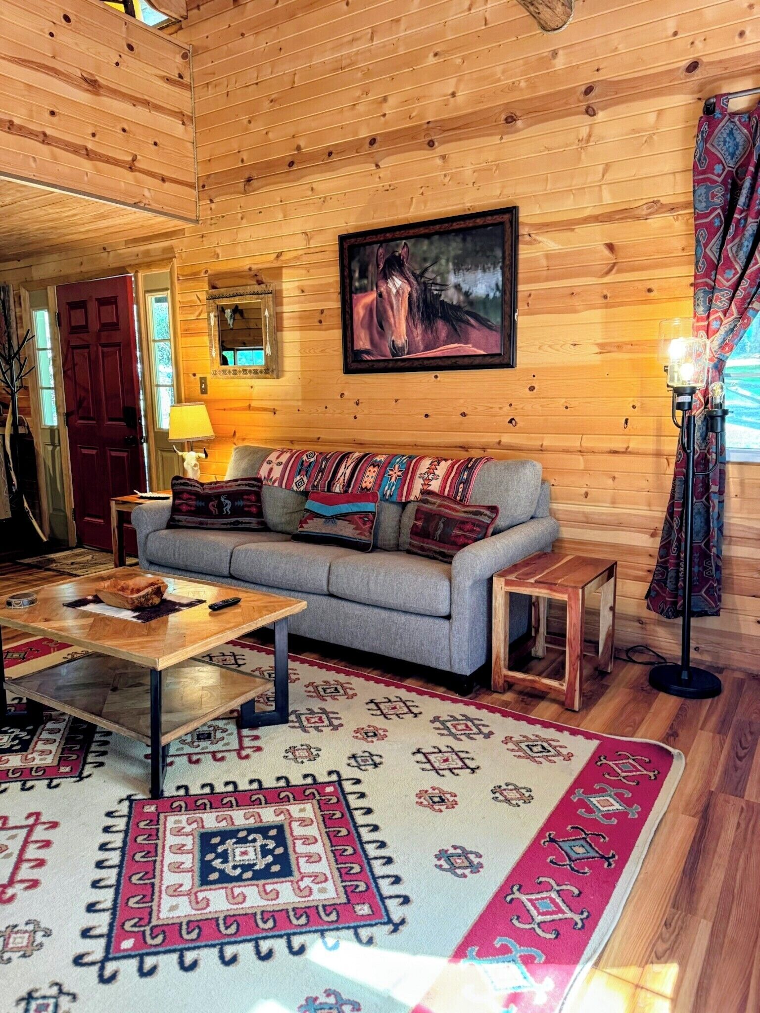 Télévision, cheminée, lecteur de DVD, livres