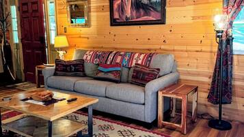 電視、壁爐、DVD 播放機、書籍