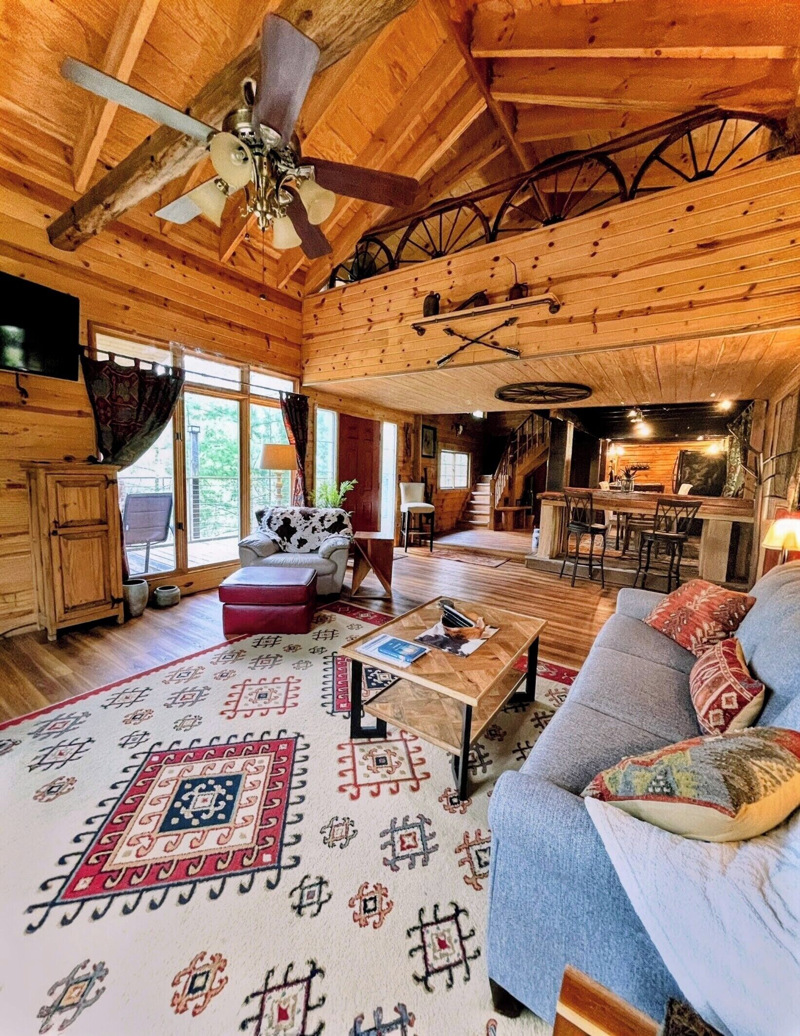 Télévision, cheminée, lecteur de DVD, livres