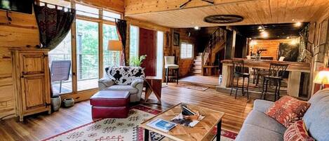 Télévision, cheminée, lecteur de DVD, livres