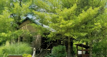 Timberline Cabins - The Richmond Cabin - Hot tub, Pets, WiFi, Fireplace