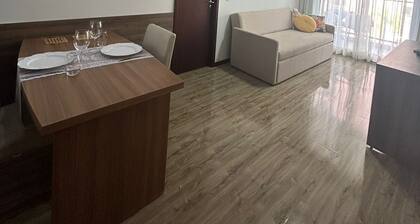 APARTMENT RIO DE JANEIRO
