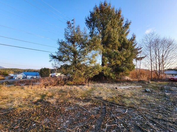 Property grounds - Campsite with a view-Site A (Klawock)