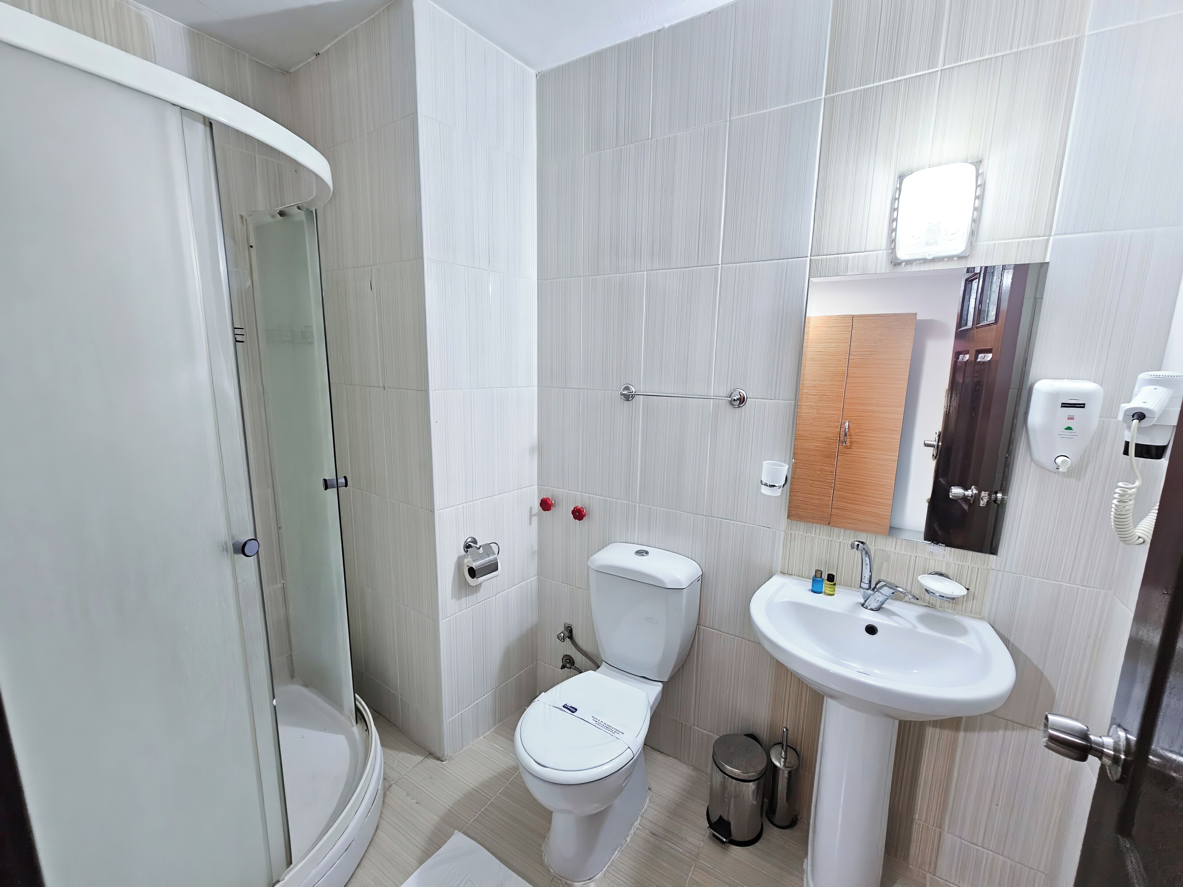 A modern bathroom with a shower, toilet, sink, and a mirror.