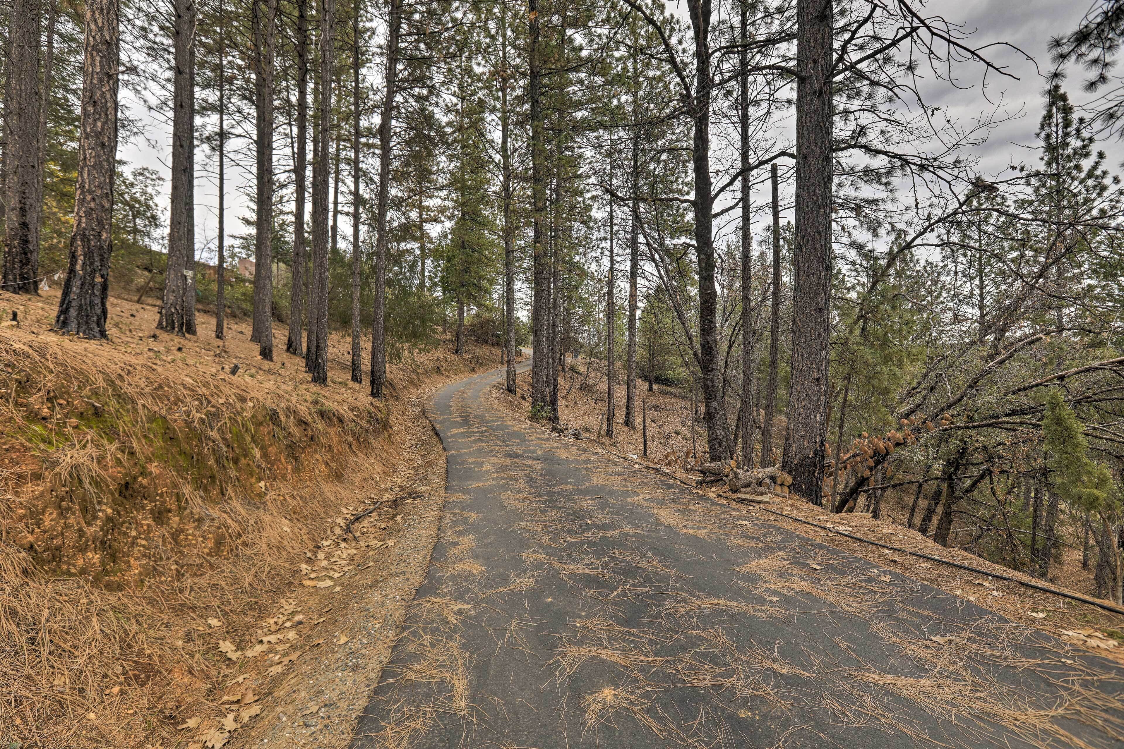 Homey Colfax Getaway w/ Private Hot Tub!