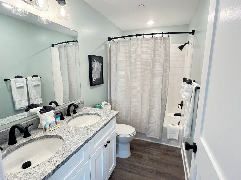 Suite 105 W/ King Bed