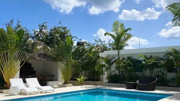 Piscina com espreguiçadeiras, rodeada por plantas tropicais e um céu azul límpido.
