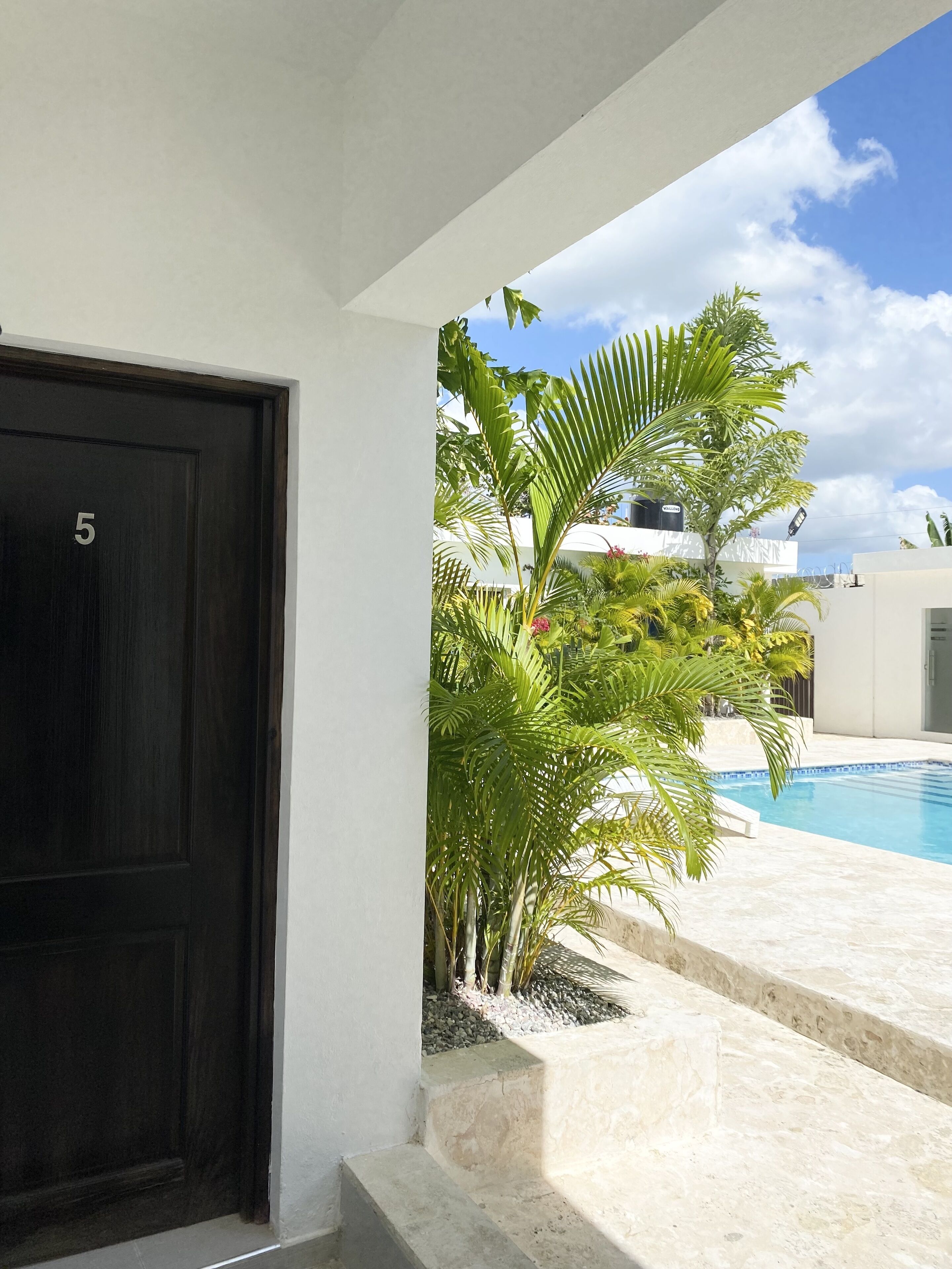 A dark wooden door with the number 5, a swimming pool with a tiled edge, and lush tropical plants.
