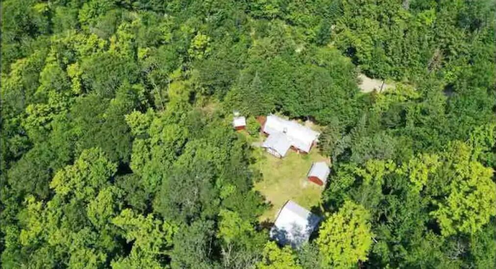 A small cluster of buildings surrounded by dense forest.
