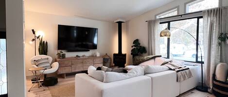 Smart TV, fireplace, video games, books