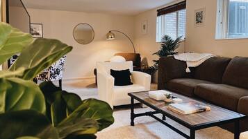 TV connectée, cheminée, livres